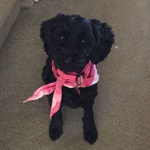 Meet your Posher, Michelle